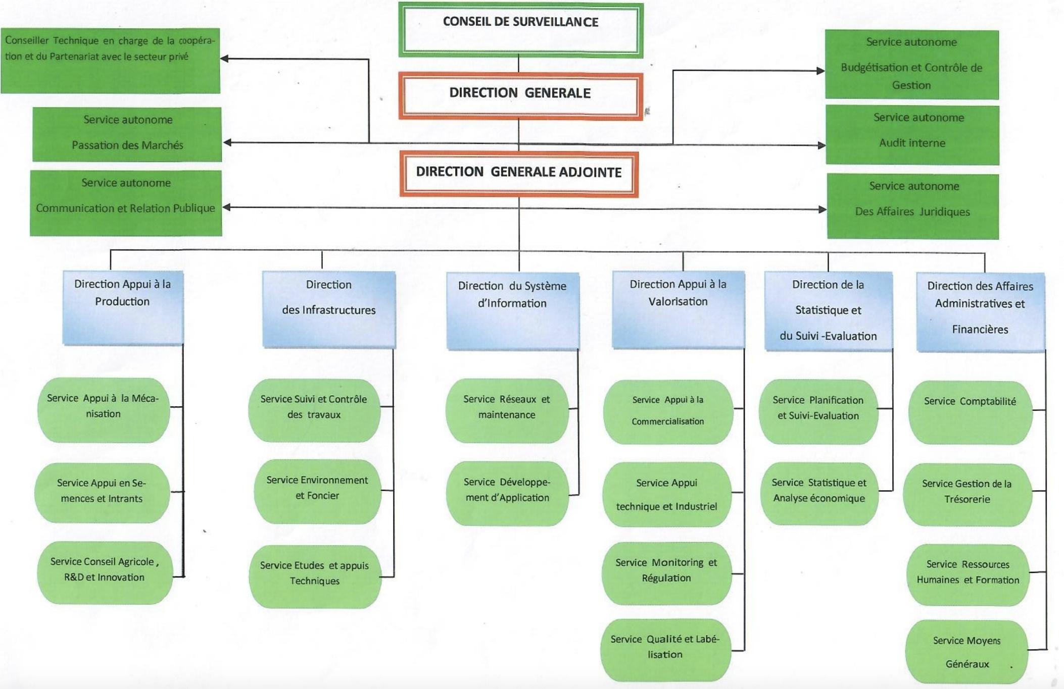 organigramme